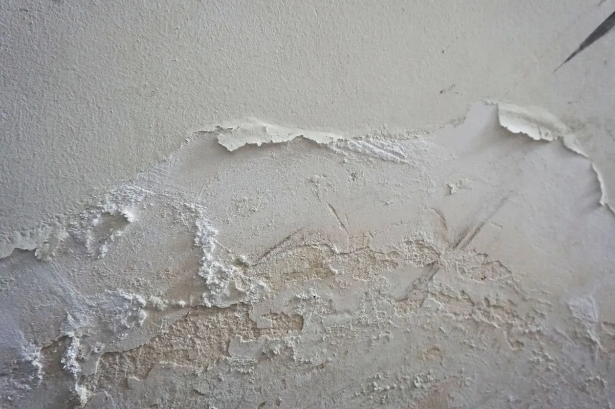 Nemli, küflenmiş ve kabarmış duvar görseli.